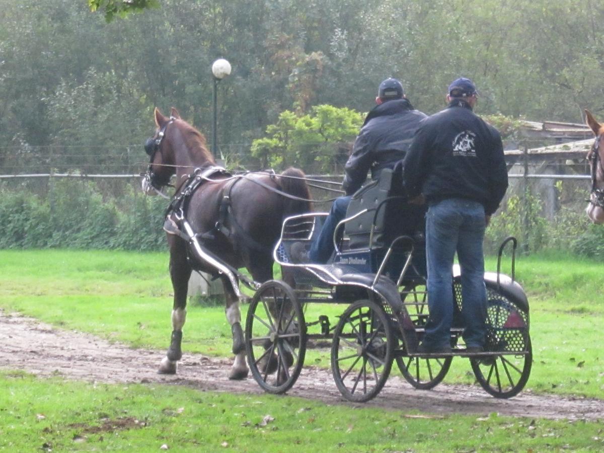 Hotel De Watermolen Bocholt Bagian luar foto